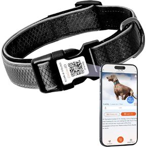 Reflective Personalized Dog Collar for Large Dogs, Soft Neoprene Padded Anti-Lost Dog Collar with QR Code Tag & Online Profile, Black, L in Kuwait