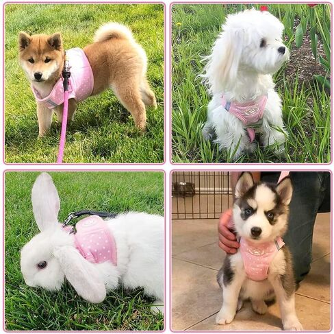 BINGPET Dog Vest Harness for Puppy and Cat, No Pull Adjustable Reflective Step-in Puppy Harness Cute Pink Polka Dot Soft for Small and Medium Dogs in Kuwait