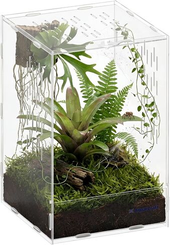 Acrylic Jumping Spider Enclosure, 4.3 x 4.7 x 7.8 in Front-Opening Clear Display Terrarium with Ventilation, for Jumping Spiders, Small Spiders and Slow-Moving Invertebrates in Kuwait