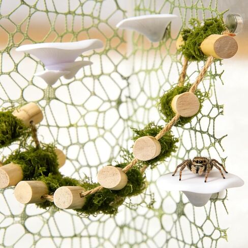 6Pcs Jumping Spider Climbing Accessories Set, 1 Wooden Rope Bridge, 3 Mushroom Platform, 2 Climbing Net Decoration in Kuwait