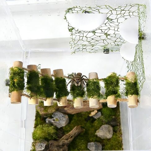 6Pcs Jumping Spider Climbing Accessories Set, 1 Wooden Rope Bridge, 3 Mushroom Platform, 2 Climbing Net Decoration in Kuwait