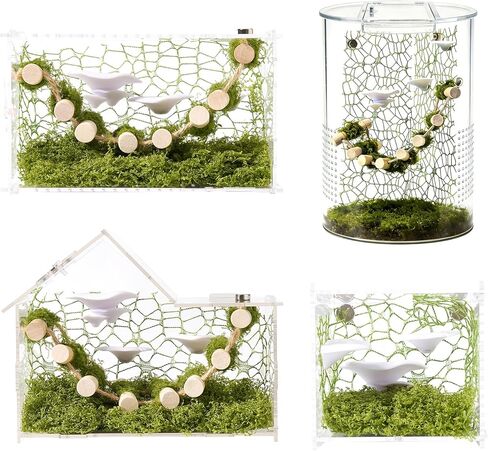 6Pcs Jumping Spider Climbing Accessories Set, 1 Wooden Rope Bridge, 3 Mushroom Platform, 2 Climbing Net Decoration in Kuwait