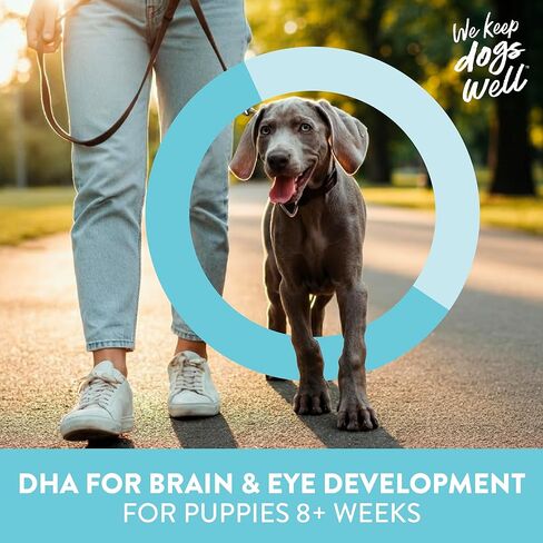 Dogswell Lifestage Puppy Treats شرائح صغيرة ناعمة من لحم الضأن، 4 أونصة in Kuwait