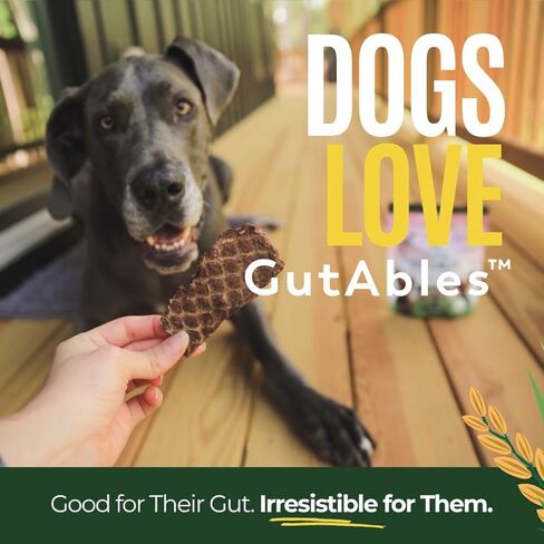 GUSSY'S GUT GutAbles Beef Treats & Fermented Prebiotic Treat for Dogs - Gut & Digestive Health - Human Grade Ingredients - Delight Phase in Kuwait