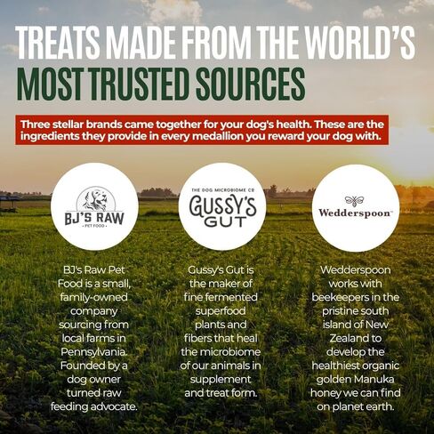 GUSSY'S GUT GutAbles Beef Treats & Fermented Prebiotic Treat for Dogs - Gut & Digestive Health - Human Grade Ingredients - Delight Phase in Kuwait