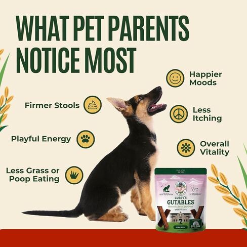 GUSSY'S GUT GutAbles Beef Treats & Fermented Prebiotic Treat for Dogs - Gut & Digestive Health - Human Grade Ingredients - Delight Phase in Kuwait