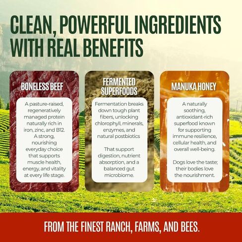 GUSSY'S GUT GutAbles Beef Treats & Fermented Prebiotic Treat for Dogs - Gut & Digestive Health - Human Grade Ingredients - Delight Phase in Kuwait