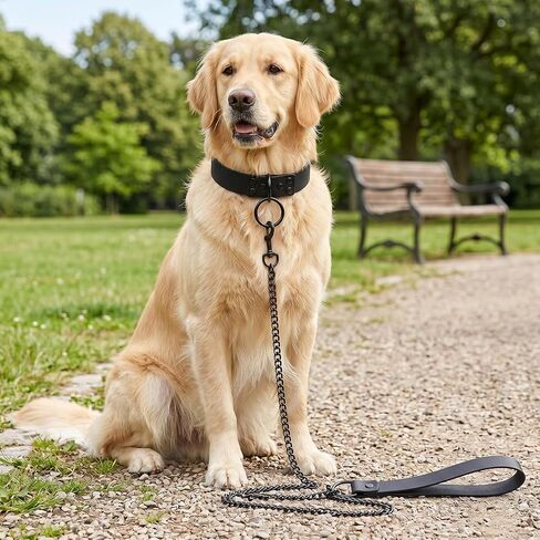 Faux Leather Collar and Leash Set for Pet Dog, Black PU Leather Choker Collar with Buckle Gothic Necklace Accessories Gift for Halloween Cosplay in Kuwait