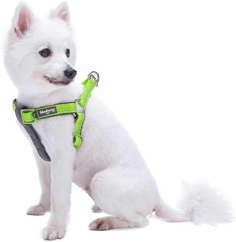 حزام للكلاب ناعم ومريح من Blueberry Pet عاكس للضوء مقاس 3M ومبطن بألوان الباستيل، محيط الصدر 15.5 بوصة - 19.5 بوصة، فلاش أخضر، أحزمة صغيرة قابلة للتعديل للكلاب in Saudi Arabia