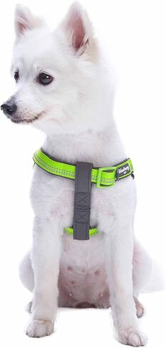 حزام للكلاب ناعم ومريح من Blueberry Pet عاكس للضوء مقاس 3M ومبطن بألوان الباستيل، محيط الصدر 15.5 بوصة - 19.5 بوصة، فلاش أخضر، أحزمة صغيرة قابلة للتعديل للكلاب in Saudi Arabia
