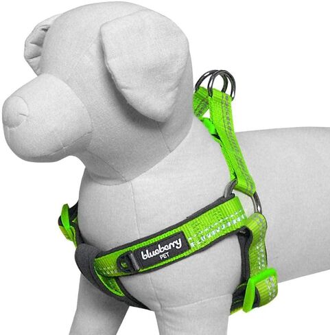 حزام للكلاب ناعم ومريح من Blueberry Pet عاكس للضوء مقاس 3M ومبطن بألوان الباستيل، محيط الصدر 15.5 بوصة - 19.5 بوصة، فلاش أخضر، أحزمة صغيرة قابلة للتعديل للكلاب in Saudi Arabia