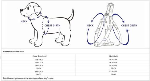 حزام للكلاب ناعم ومريح من Blueberry Pet عاكس للضوء مقاس 3M ومبطن بألوان الباستيل، محيط الصدر 15.5 بوصة - 19.5 بوصة، فلاش أخضر، أحزمة صغيرة قابلة للتعديل للكلاب in Saudi Arabia