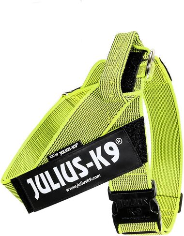 Julius-K9 IDC حزام اللون والرمادي للكلاب، حجم صغير، أسود-رمادي in Kuwait