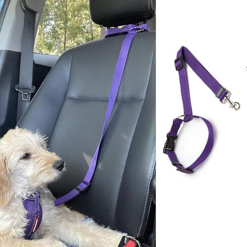 Pet Car Safety Leash – Adjustable Vehicle Restraint for Dogs – Secure Dog Harness Attachment for Car Travel in Saudi Arabia