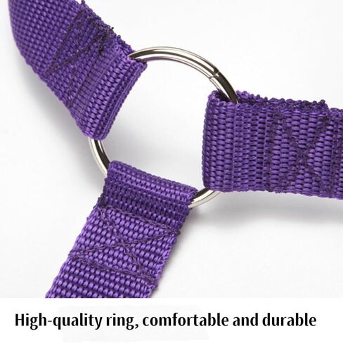Pet Car Safety Leash – Adjustable Vehicle Restraint for Dogs – Secure Dog Harness Attachment for Car Travel in Saudi Arabia