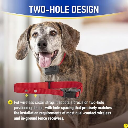 حزام طوق بديل للكلاب الأليفة، طوق قابل للتعديل بفتحتين متوافق مع سياج PetSafe الأرضي وسلسلة سياج لاسلكي، حزام طوق من البوليستر للحيوانات الأليفة in Kuwait