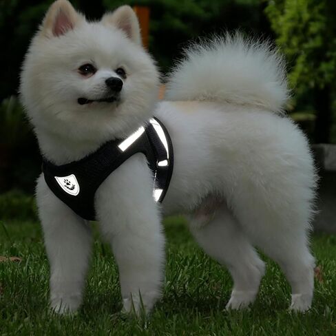 Dog Harness and Leash Set, Puppy Dog Harness for Small Medium Sized Dog, Breathable Mesh, No-Pull Soft Vest Harness with Reflective Strips and Dual D-Rings for Puppy Small Medium (Black, M) in Kuwait
