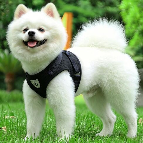Dog Harness and Leash Set, Puppy Dog Harness for Small Medium Sized Dog, Breathable Mesh, No-Pull Soft Vest Harness with Reflective Strips and Dual D-Rings for Puppy Small Medium (Black, M) in Kuwait