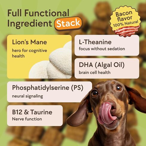 علاجات التدريب الإدراكي للكلاب والجراء من TheraPetMD Dogus - مضغ ناعم مع DHA وL-Theanine وPhosphatidylserine - نكهة لحم الخنزير المقدد، مكافآت تدريب الكلاب الطبيعية والخالية من الحبوب - 166 قطعة in Kuwait