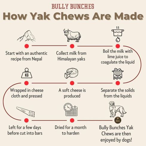 Bully Bunches Yak Cheese Himalayan Yak Puffs for Small, Mediun & Large Dogs - All Natural Dog Treat Dental Chews, Made with Real Yak Milk for Teething - Lactose & Rawhide Free (10 oz) in Kuwait