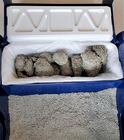 EcoLeo، متوافق مع أوعية نفايات LitterMaid وNature's Miracle، 60 كيس إعادة تعبئة بمقابض، يُستخدم في صواني نفايات صندوق الفضلات ذاتية التنظيف in Kuwait