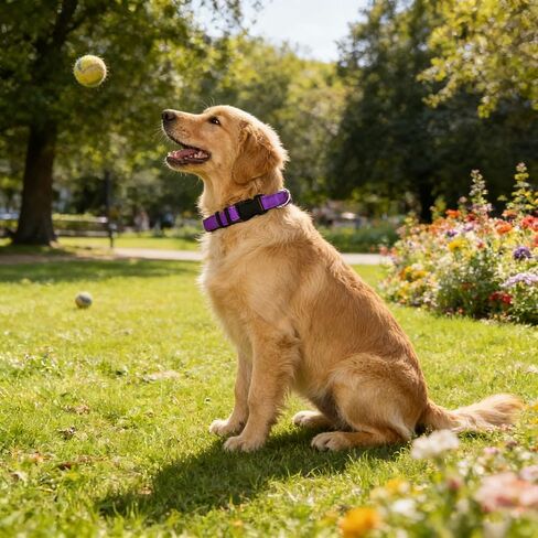 2026 Upgrade Basic Dog Collar, Reflective Dog Collar, Quick Release Soft Comfortable Dog Collars, Safety Buckle Adjustable Nylon Collars for Small Medium Large Dogs (Purple, M) in Saudi Arabia