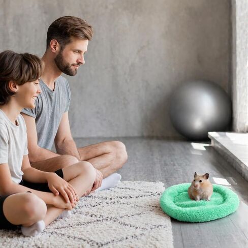 Guinea Pig Bed, 7.87" x 5.51" Outer Inner Diameter Hamster Beds with Plush, Small Pet Hideout for Small Dwarf Rabbits Hedgehog Squirrel Ferret in Kuwait