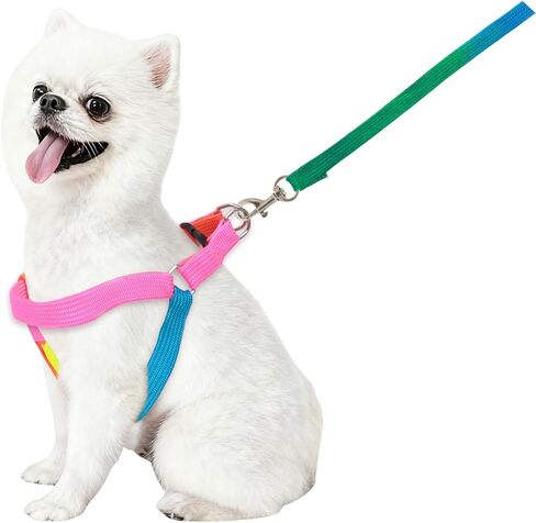 1 Pack Pet Adjustable Nylon Dog Chest Harness Straps Chain Cute Rainbow Color Back Thoracic Traction Suits Dog Rope Leash Chain for Puppy Cat in Kuwait
