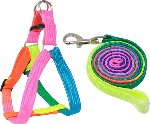 1 Pack Pet Adjustable Nylon Dog Chest Harness Straps Chain Cute Rainbow Color Back Thoracic Traction Suits Dog Rope Leash Chain for Puppy Cat in Kuwait