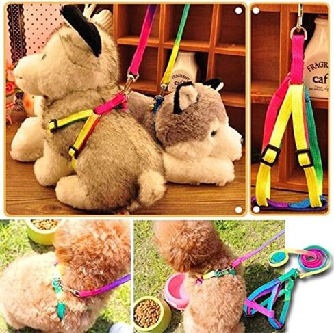 1 Pack Pet Adjustable Nylon Dog Chest Harness Straps Chain Cute Rainbow Color Back Thoracic Traction Suits Dog Rope Leash Chain for Puppy Cat in Kuwait
