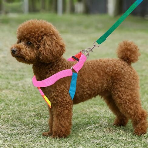 1 Pack Pet Adjustable Nylon Dog Chest Harness Straps Chain Cute Rainbow Color Back Thoracic Traction Suits Dog Rope Leash Chain for Puppy Cat in Kuwait