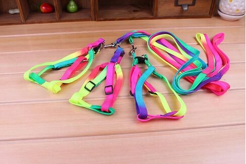 1 Pack Pet Adjustable Nylon Dog Chest Harness Straps Chain Cute Rainbow Color Back Thoracic Traction Suits Dog Rope Leash Chain for Puppy Cat in Kuwait