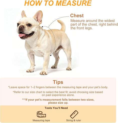 BEAUTYZOO No Pull Linen Dog Harness and Leash Set - Adjustable Step-in Puppy Harness for Small Medium Large Dogs, Escape Proof Soft Vest with Double D Ring for Walking Running Training,Khaki S in Kuwait
