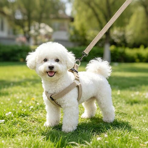 BEAUTYZOO No Pull Linen Dog Harness and Leash Set - Adjustable Step-in Puppy Harness for Small Medium Large Dogs, Escape Proof Soft Vest with Double D Ring for Walking Running Training,Khaki S in Kuwait
