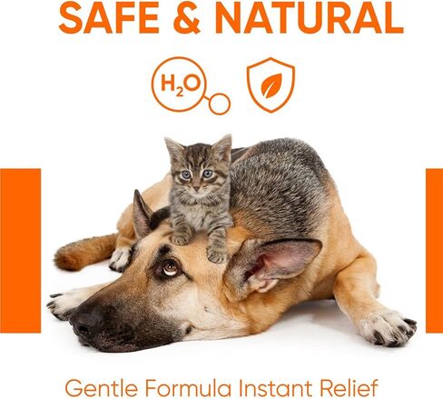 Dog Eye Drops - Cat Eye Drops 1 fl oz – Vet Recommended Pet Eye Drops to Clean and Soothe Eye Infections, Allergies, Dry & Pink Eyes, Tear Stain Remover for Dogs, Cats, Horses & Birds (30 ml) in Kuwait