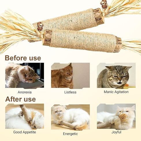 2 Pcs Natural Huge Silvervine Sticks Cat Toys - Large Catnip Toys Indoor Cats Interactive Matatabi Dental Care Teething Chew Toys for Cats and Kittens Who Love to Chew in Kuwait