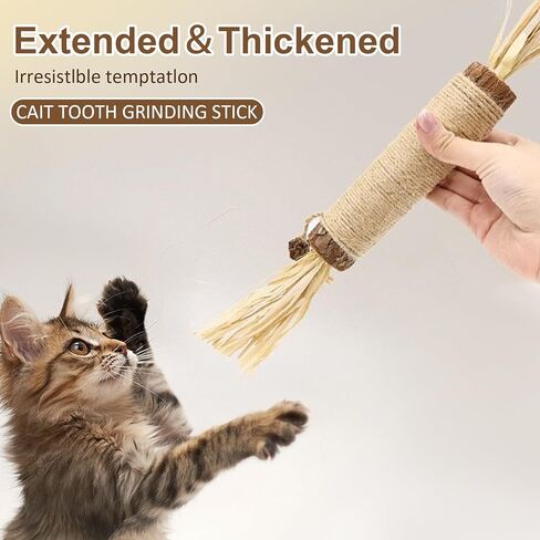 2 Pcs Natural Huge Silvervine Sticks Cat Toys - Large Catnip Toys Indoor Cats Interactive Matatabi Dental Care Teething Chew Toys for Cats and Kittens Who Love to Chew in Kuwait