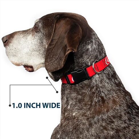 The Coca-Cola Company Pet Collar, Dog Collar Plastic Buckle, Coca Cola Script Logo Red White, 11 to 16.5 Inches 1.0 Inch Wide in Kuwait