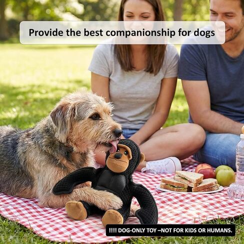 Plush Stuffed Squeaky Dog Toys, Dog Toy Medium、Large Breed, Dog Chew Toys for Non-Aggressive Dogs,Chew Dog Toys to Keep Them Busy,Solomon，11" x 11" Gorilla in Kuwait