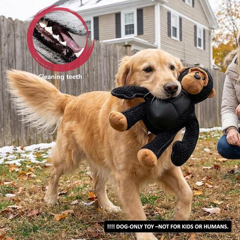 Plush Stuffed Squeaky Dog Toys, Dog Toy Medium、Large Breed, Dog Chew Toys for Non-Aggressive Dogs,Chew Dog Toys to Keep Them Busy,Solomon，11" x 11" Gorilla in Kuwait