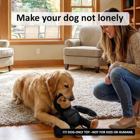 Plush Stuffed Squeaky Dog Toys, Dog Toy Medium、Large Breed, Dog Chew Toys for Non-Aggressive Dogs,Chew Dog Toys to Keep Them Busy,Solomon，11" x 11" Gorilla in Kuwait