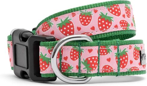 THE WORTHY DOG Everyday Wild Wild West Collar – Comfortable, Durable Nylon Webbing with Woven Ribbon, Strong Quick-Release Buckle & Nickel-Plated D-Ring – Biege, Medium in Kuwait