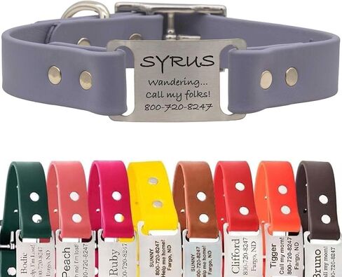dogIDs Personalized Dog Collar – ScruffTag Custom Waterproof Biothane Dog Collar with Laser-Engraved Name, Durable & Odor-Resistant – USA Made | Red, 1 in x 20 in (Fits Neck Sizes 18-22 in) in Saudi Arabia