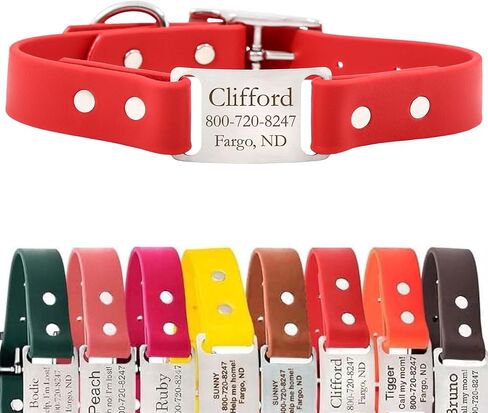dogIDs Personalized Dog Collar – ScruffTag Custom Waterproof Biothane Dog Collar with Laser-Engraved Name, Durable & Odor-Resistant – USA Made | Red, 1 in x 20 in (Fits Neck Sizes 18-22 in) in Saudi Arabia