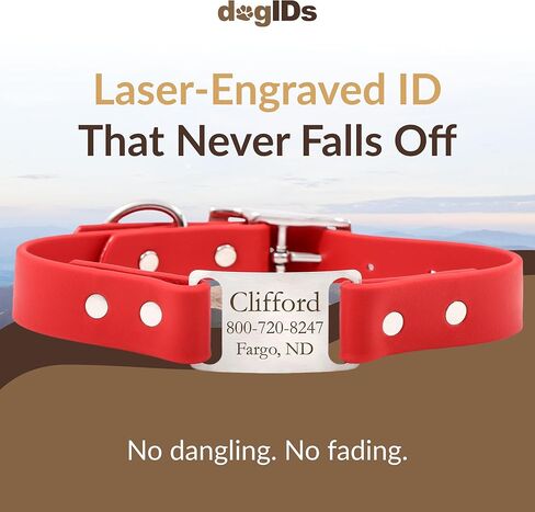 dogIDs Personalized Dog Collar – ScruffTag Custom Waterproof Biothane Dog Collar with Laser-Engraved Name, Durable & Odor-Resistant – USA Made | Red, 1 in x 20 in (Fits Neck Sizes 18-22 in) in Saudi Arabia