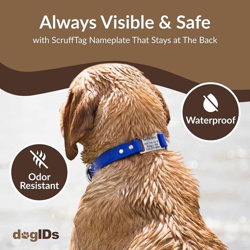 dogIDs Personalized Dog Collar – ScruffTag Custom Waterproof Biothane Dog Collar with Laser-Engraved Name, Durable & Odor-Resistant – USA Made | Red, 1 in x 20 in (Fits Neck Sizes 18-22 in) in Saudi Arabia