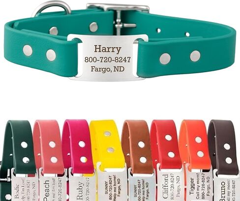dogIDs Personalized Dog Collar – ScruffTag Custom Waterproof Biothane Dog Collar with Laser-Engraved Name, Durable & Odor-Resistant – USA Made | Red, 1 in x 20 in (Fits Neck Sizes 18-22 in) in Saudi Arabia