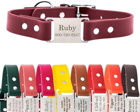 dogIDs Personalized Dog Collar – ScruffTag Custom Waterproof Biothane Dog Collar with Laser-Engraved Name, Durable & Odor-Resistant – USA Made | Red, 1 in x 20 in (Fits Neck Sizes 18-22 in) in Saudi Arabia