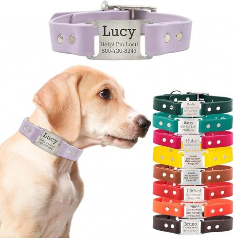 dogIDs Personalized Dog Collar – ScruffTag Custom Waterproof Biothane Dog Collar with Laser-Engraved Name, Durable & Odor-Resistant – USA Made | Red, 1 in x 20 in (Fits Neck Sizes 18-22 in) in Saudi Arabia