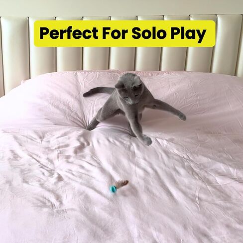 Refillable Cat Wand Toy Refill Forever Prey - World's First Refillable Lures, Wand Refill, Feather Lures Attachments - Cat Toy Replacement Attachments in Kuwait